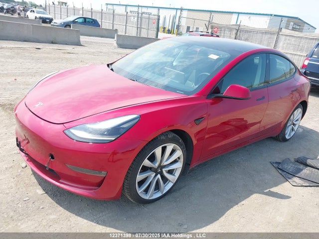 Tesla MODEL 3 2021 5YJ3E1EB7MF035446 Image 2