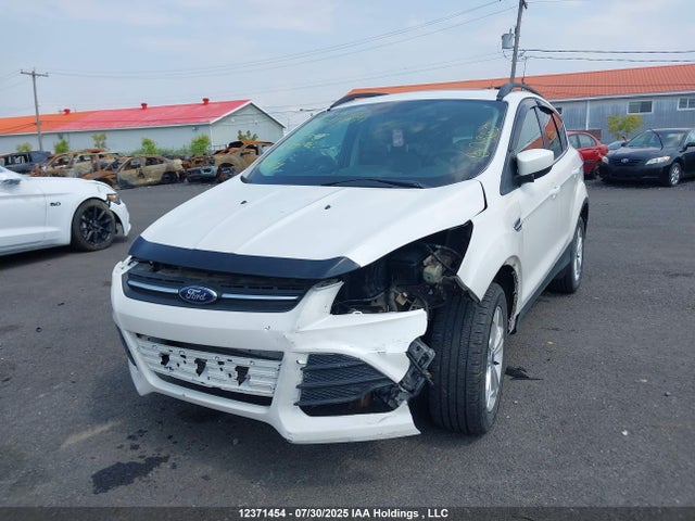 Ford Escape 2016 1FMCU0GX7GUC63444 Image 6