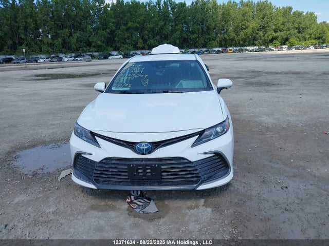 12371634 :رقم المزاد ، 4T1C31AK0NU596149 vin ، 2022 Toyota Camry Le مزاد بيع