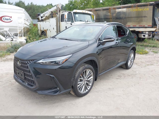 Lexus a25a-fxs, 5nm+4nm 2024 2T2GKCEZ6RC026943 Image 2