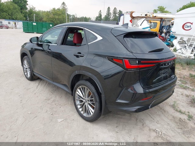 Lexus a25a-fxs, 5nm+4nm 2024 2T2GKCEZ6RC026943 Image 3