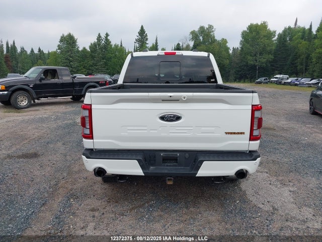 1FTEW1E83PFC42460 Ford gtdi