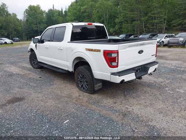 1FTEW1E83PFC42460 Ford gtdi