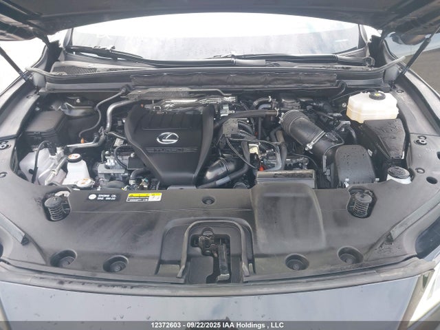Lexus t24a-fts, 1zm+1ym 2023 2T2BCMEAXPC007963 Image 10