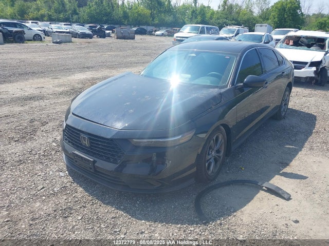 Honda l15be 2024 1HGCY1F39RA800592 Image 2