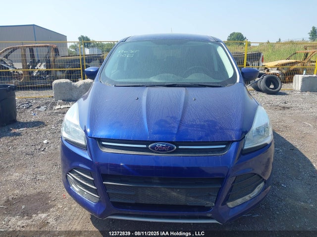 Aukcja sprzedaży 2014 Ford Escape Se, vin: 1FMCU0GX5EUC88355, numer aukcji: 12372839