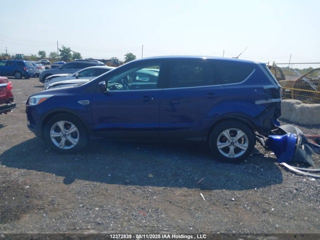 Aukcja sprzedaży 2014 Ford Escape Se, vin: 1FMCU0GX5EUC88355, numer aukcji: 12372839