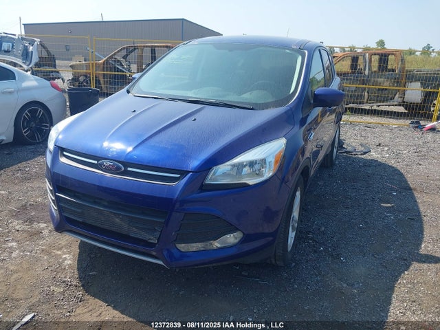 Aukcja sprzedaży 2014 Ford Escape Se, vin: 1FMCU0GX5EUC88355, numer aukcji: 12372839