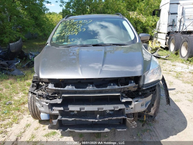 Ford Escape 2014 1FMCU0G94EUC71659 Image 13