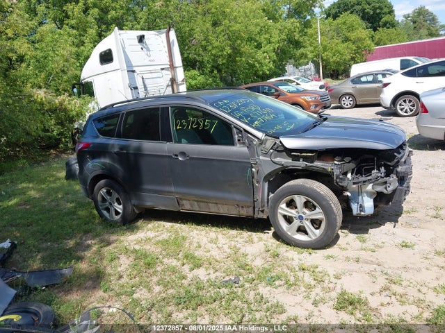 Ford Escape 2014 1FMCU0G94EUC71659 Image 14