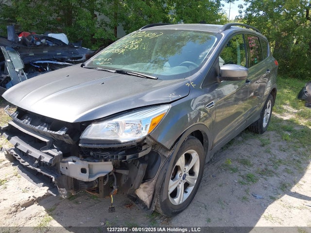 Ford Escape 2014 1FMCU0G94EUC71659 Image 2