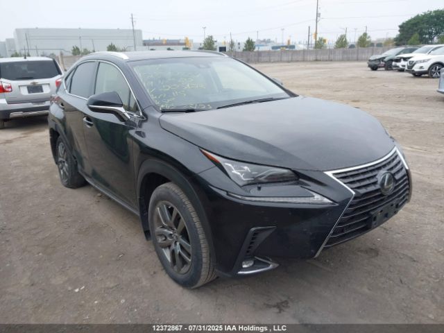 12372867 :رقم المزاد ، JTJBARBZ6K2205428 vin ، 2019 Lexus Nx 300 مزاد بيع