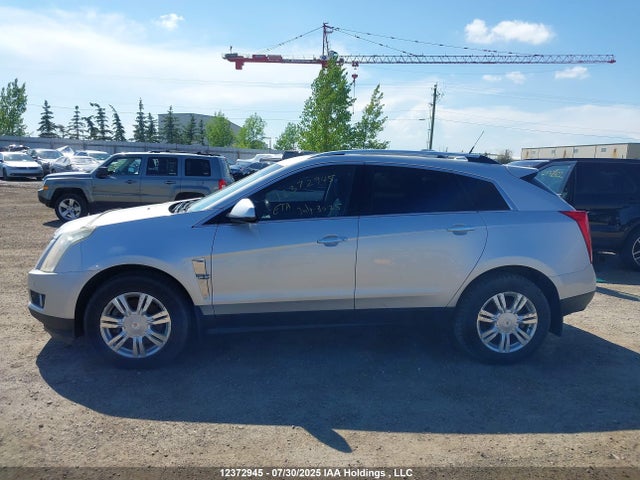 Продаж на аукціоні авто 2011 Cadillac Srx Luxury Collection, vin: 3GYFNDEY5BS582264, номер лоту: 12372945