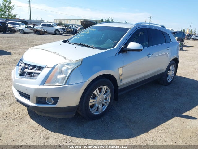 Продаж на аукціоні авто 2011 Cadillac Srx Luxury Collection, vin: 3GYFNDEY5BS582264, номер лоту: 12372945