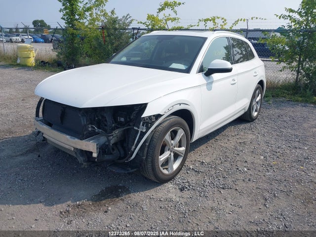 WA1BNAFY5K2048608 Audi 2019