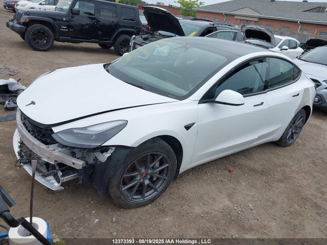 Tesla MODEL 3 2022 5YJ3E1EB5NF205580 Image 2