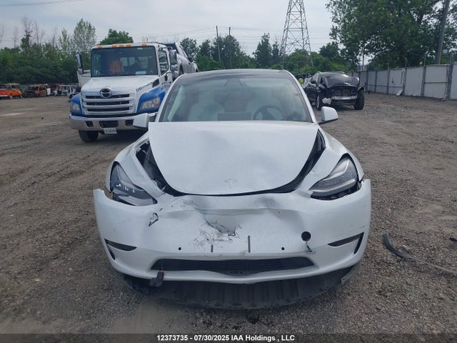5YJYGDEE7MF210256 Tesla Model Y
