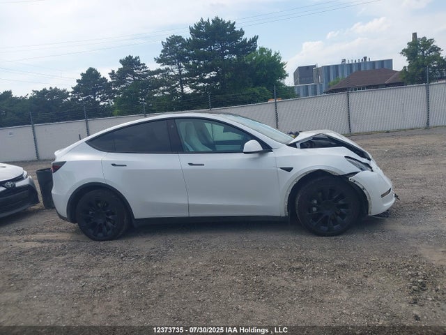 5YJYGDEE7MF210256 Tesla Model Y