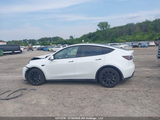 5YJYGDEE7MF210256 Tesla Model Y