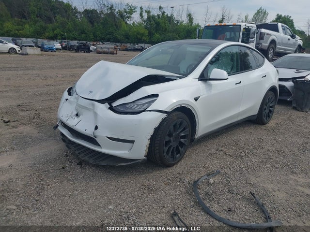 5YJYGDEE7MF210256 Tesla Model Y