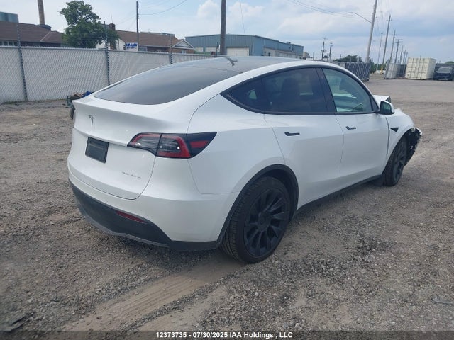 5YJYGDEE7MF210256 Tesla Model Y