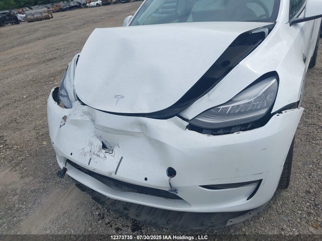5YJYGDEE7MF210256 Tesla Model Y