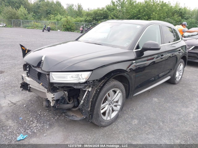 WA1ANAFY7K2057693 Audi 2019