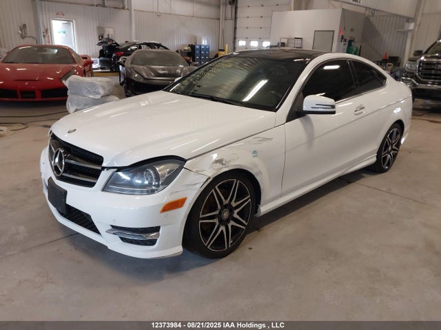 Mercedes-Benz 2015 2015 WDDGJ8JBXFG335055 Image 2