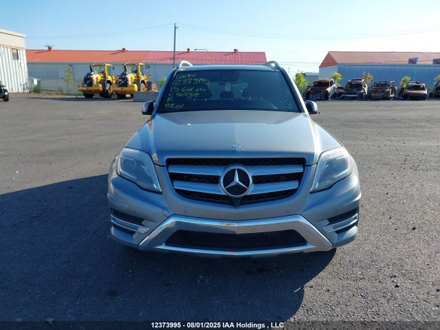 WDCGG0EB6FG407318 Mercedes-Benz Glk-Class