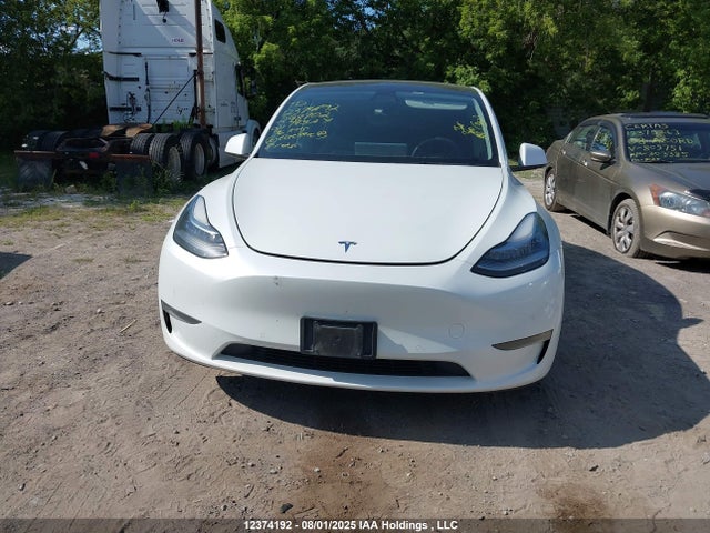 Tesla 2021 2021 5YJYGDEE4MF298702 Image 12