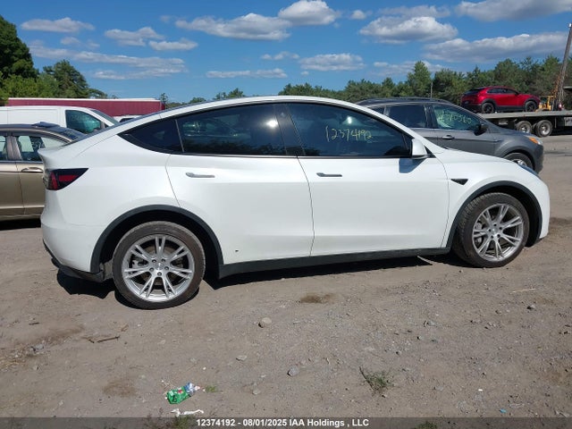 Tesla 2021 2021 5YJYGDEE4MF298702 Image 13