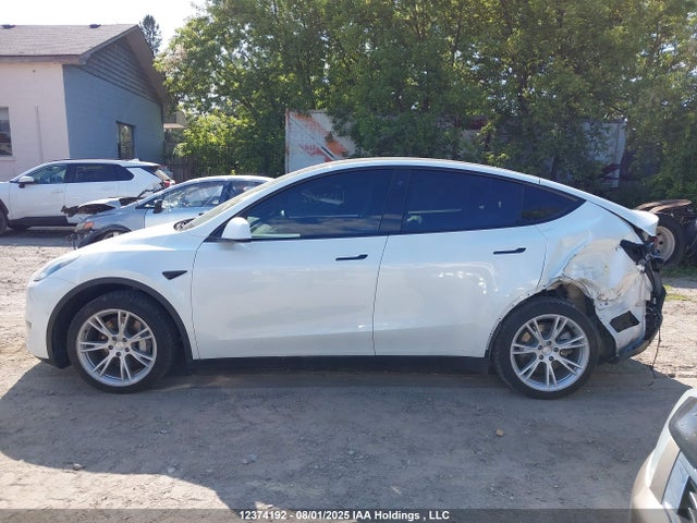 Tesla 2021 2021 5YJYGDEE4MF298702 Image 14