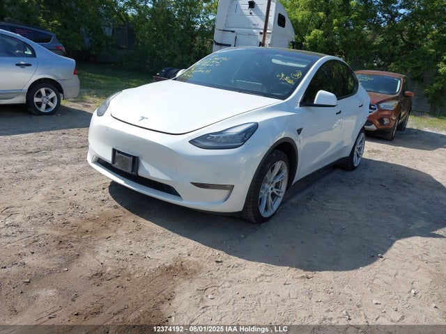 Tesla 2021 2021 5YJYGDEE4MF298702 Image 2