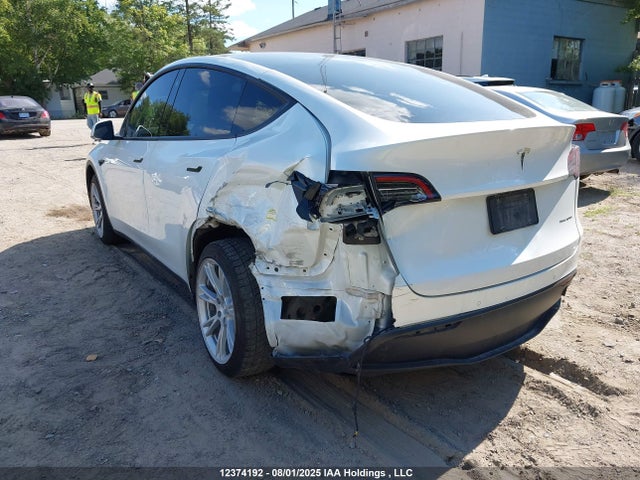 Tesla 2021 2021 5YJYGDEE4MF298702 Image 3