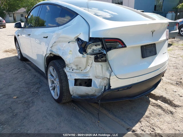 Tesla 2021 2021 5YJYGDEE4MF298702 Image 6