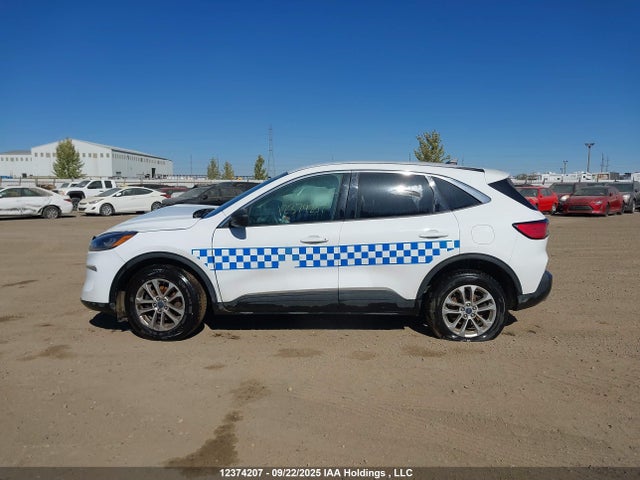 1FMCU9G6XNUB82401 Ford dragon di tc