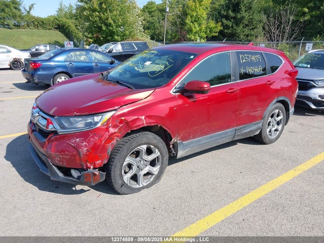 Aukcja sprzedaży 2019 Honda Cr-v Ex, vin: 2HKRW2H55KH140469, numer aukcji: 12374859