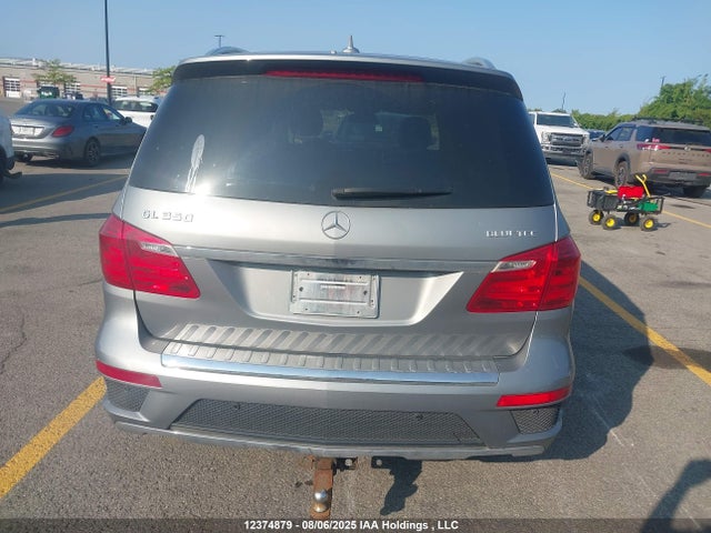 Mercedes-Benz Gl-Class 2014 4JGDF2EE1EA421741 Image 16