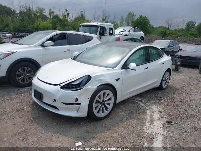 Tesla MODEL 3 2021 5YJ3E1EA6MF908708 Image 2