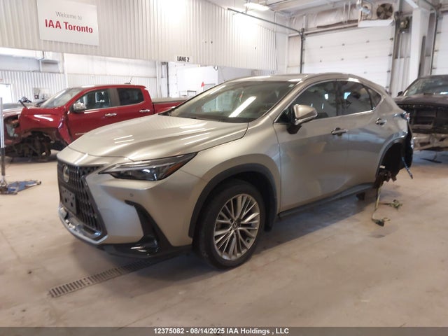 Lexus t24a-fts 2024 2T2GGCEZ4RC042494 Image 2