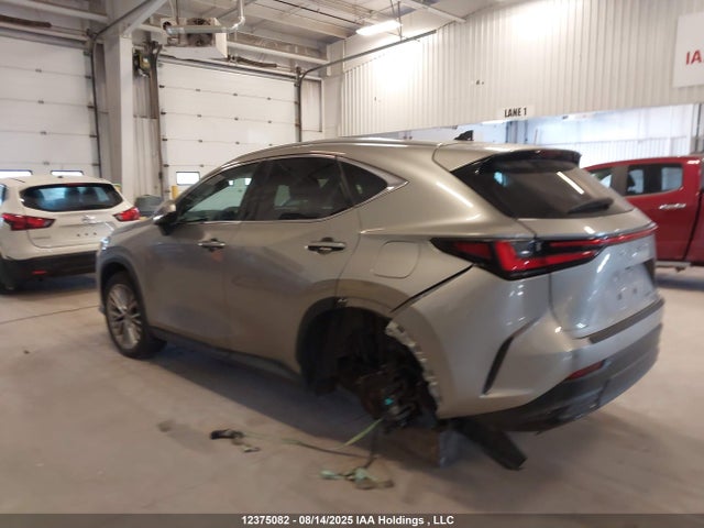 Lexus t24a-fts 2024 2T2GGCEZ4RC042494 Image 3