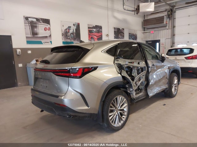 Lexus t24a-fts 2024 2T2GGCEZ4RC042494 Image 4