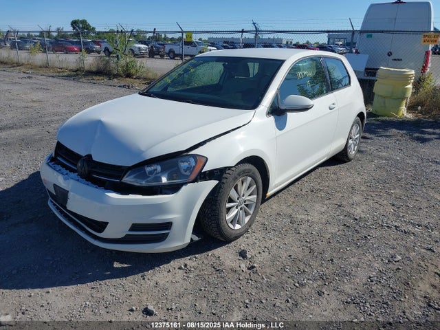 3VW917AU8FM019316 Volkswagen Golf