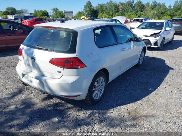 3VW917AU8FM019316 Volkswagen Golf