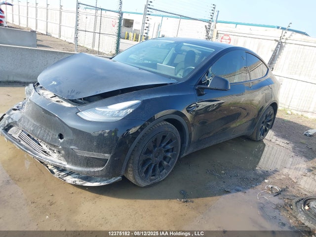 Tesla Model Y 2021 5YJYGDEE9MF182007 Image 2