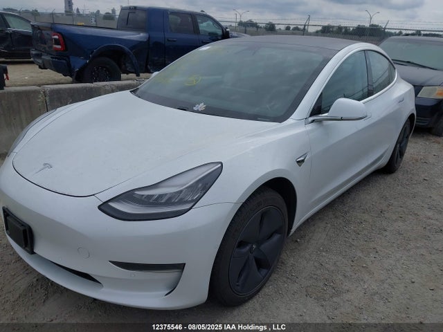 Tesla 2020 2020 5YJ3E1EA4LF603903 Image 2