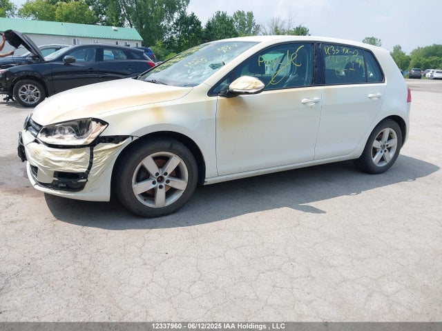 3VW217AU0FM020204 Volkswagen 2015