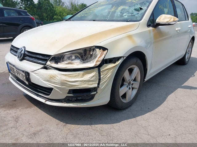 3VW217AU0FM020204 Volkswagen 2015