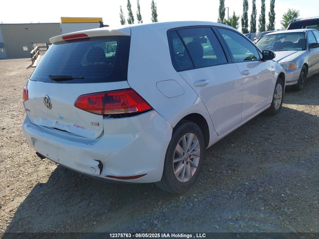 3VW217AU6FM011278 Volkswagen Golf