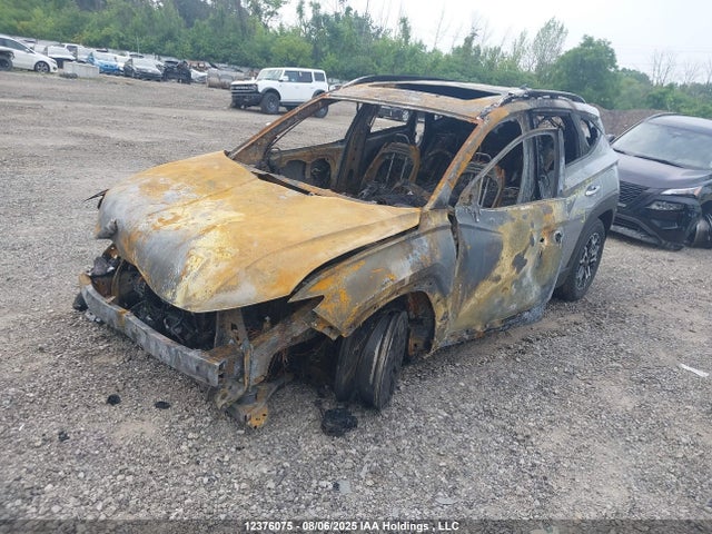 12376075 :رقم المزاد ، 5NMJFCDEXSH456262 vin ، 2025 Hyundai Tucson Xrt مزاد بيع